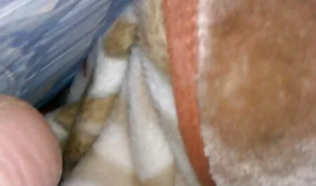 Uomo piace scopare figa, ma la filmati italiani erotici signora vuole anale